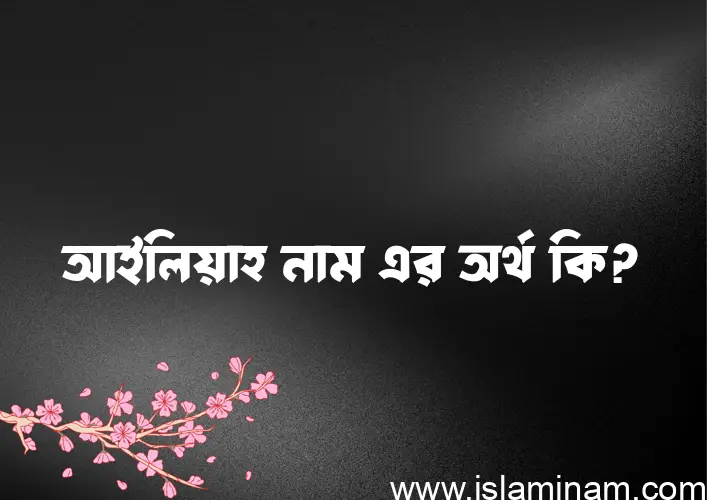 আইলিয়াহ নামের অর্থ কি? ইসলামিক আরবি বাংলা অর্থ এবং নামের তাৎপর্য