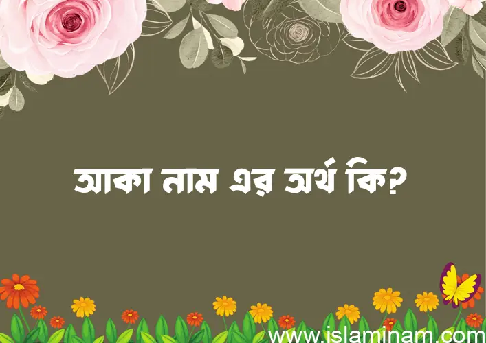 আকা নামের অর্থ কি? আকা নামের বাংলা, আরবি/ইসলামিক অর্থসমূহ