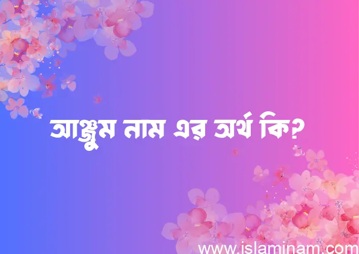 আঞ্জুম নামের অর্থ কি? আঞ্জুম নামের ইসলামিক অর্থ এবং বিস্তারিত তথ্য সমূহ