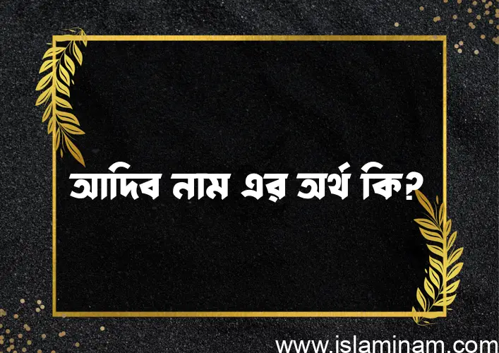 আদিব নামের আর্থ কি?