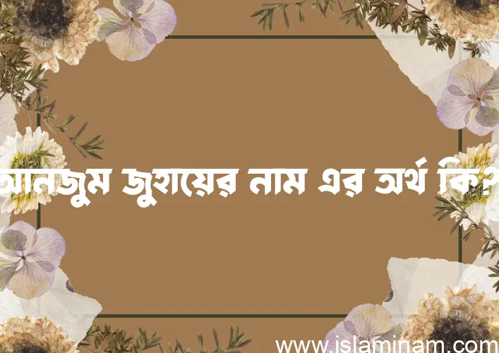 আনজুম জুহায়ের নামের অর্থ কি এবং ইসলাম কি বলে? (বিস্তারিত)