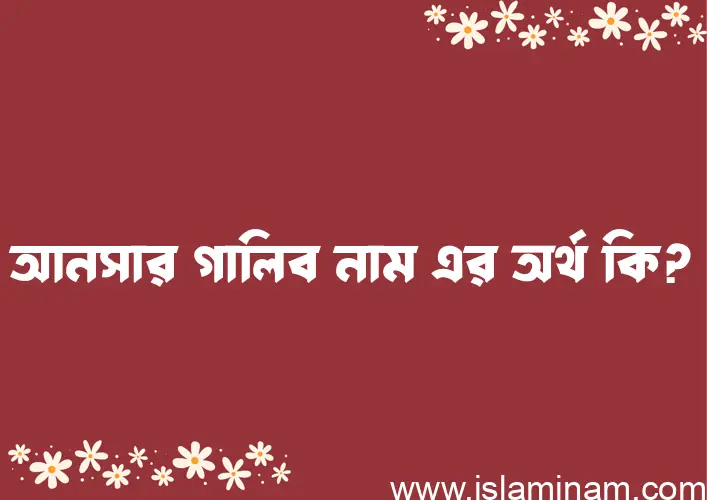 আনসার গালিব নামের আর্থ কি?