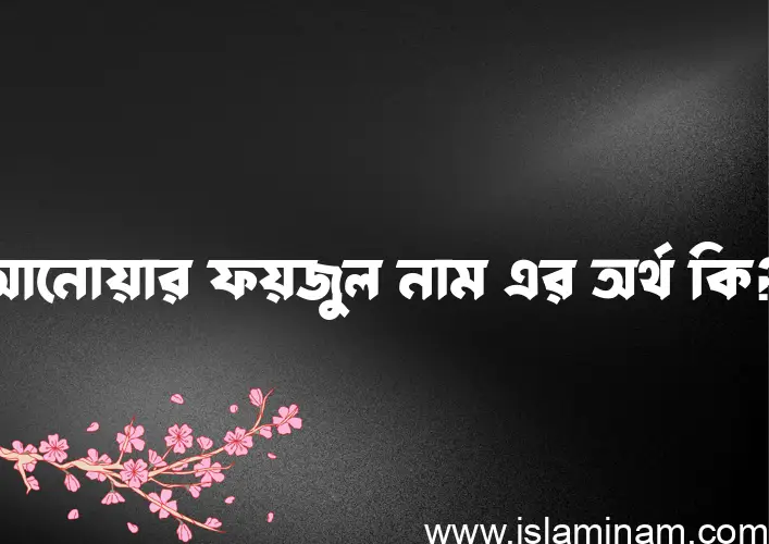 আনোয়ার ফয়জুল নামের আর্থ কি?