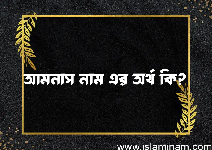 আমনাস নামের অর্থ কি? আমনাস নামের ইসলামিক অর্থ এবং বিস্তারিত তথ্য সমূহ