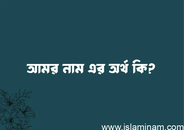 আমর নামের আর্থ কি?