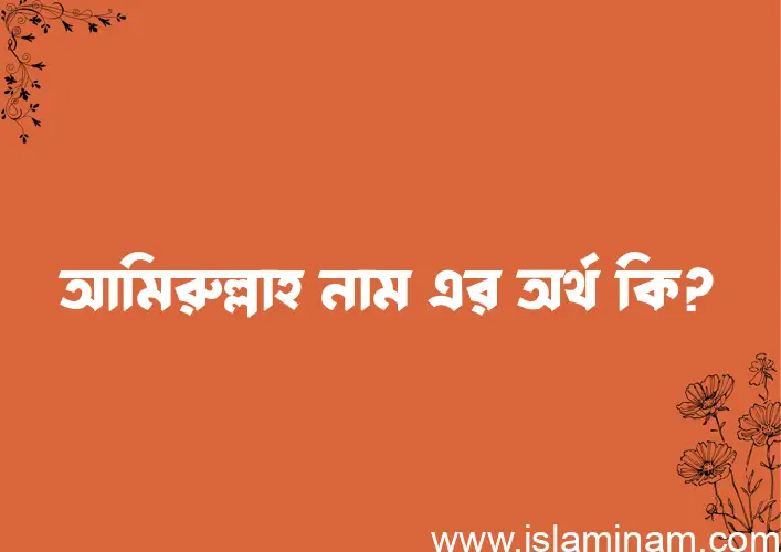 আমিরুল্লাহ নামের অর্থ কি, বাংলা ইসলামিক এবং আরবি অর্থ?