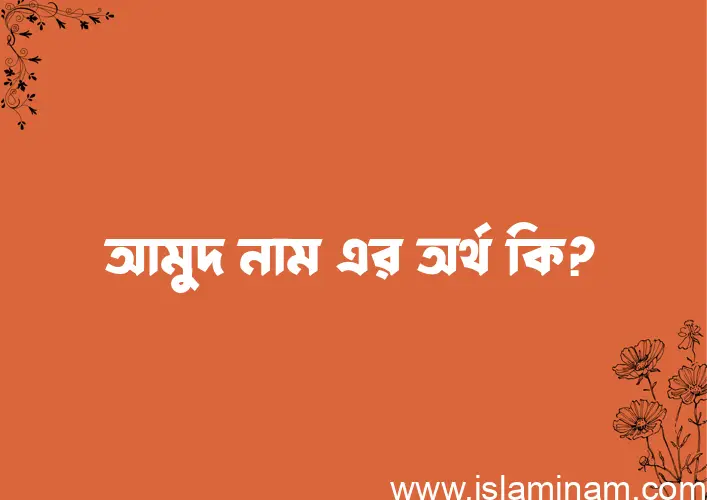 আমুদ নামের আর্থ কি?