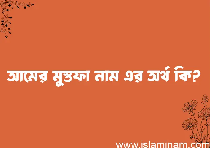 আমের মুস্তফা নামের অর্থ কি, ইসলামিক আরবি এবং বাংলা অর্থ জানুন