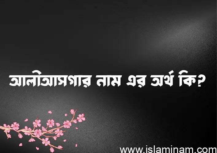 আলীআসগার নামের অর্থ কি? আলীআসগার নামের বাংলা, আরবি/ইসলামিক অর্থসমূহ