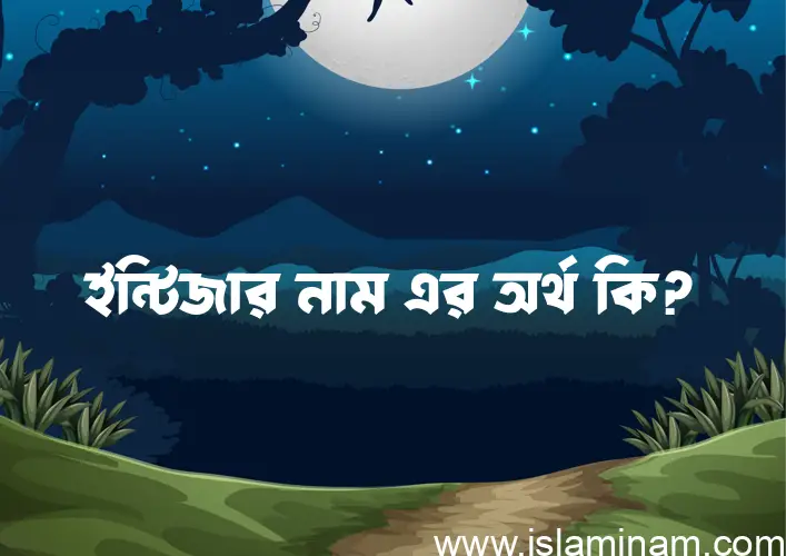 ইন্টিজার নামের আর্থ কি?