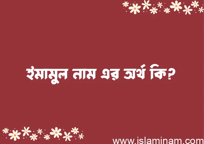 ইমামুল নামের অর্থ কি, ইসলামিক আরবি এবং বাংলা অর্থ জানুন