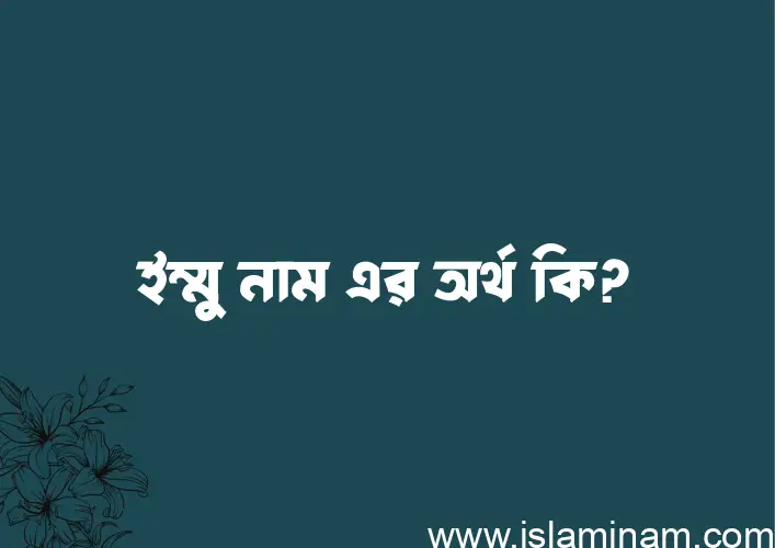 ইম্মু নামের অর্থ কি? ইম্মু নামের ইসলামিক অর্থ এবং বিস্তারিত তথ্য সমূহ