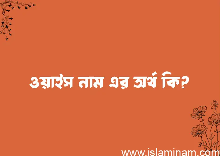 ওয়াইস নামের অর্থ কি? ইসলামিক আরবি বাংলা অর্থ