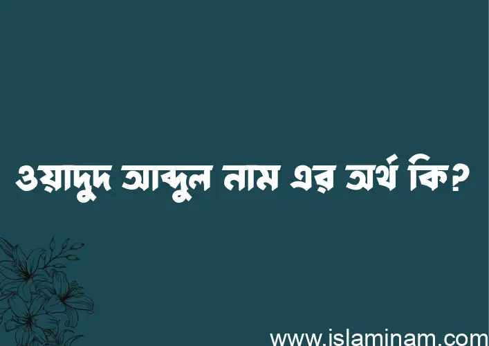 ওয়াদুদ আব্দুল নামের অর্থ কি? ওয়াদুদ আব্দুল নামের বাংলা, আরবি/ইসলামিক অর্থসমূহ