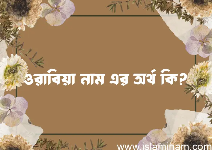 ওরাবিয়া নামের অর্থ কি, বাংলা ইসলামিক এবং আরবি অর্থ?