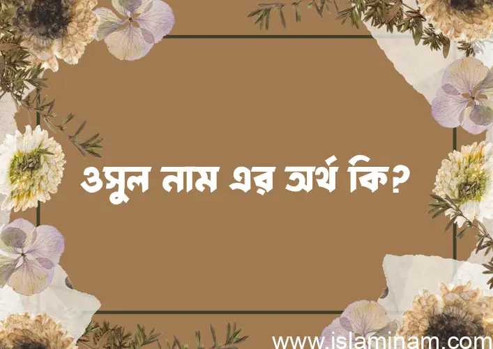 ওসুল নামের অর্থ কি? ওসুল নামের ইসলামিক অর্থ এবং বিস্তারিত তথ্য সমূহ