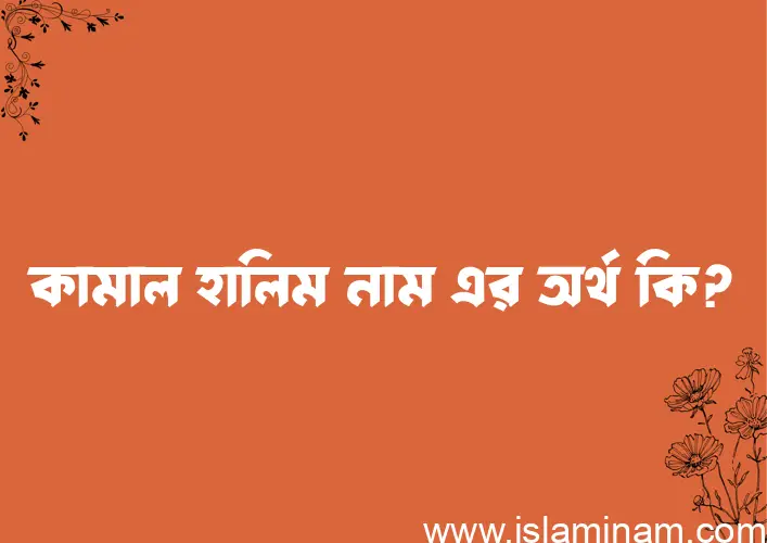 কামাল হালিম নামের অর্থ কি? ইসলামিক আরবি বাংলা অর্থ এবং নামের তাৎপর্য