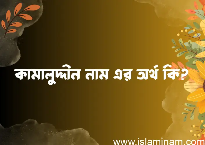 কামালুদ্দীন নামের অর্থ কি? কামালুদ্দীন নামের বাংলা, আরবি/ইসলামিক অর্থসমূহ