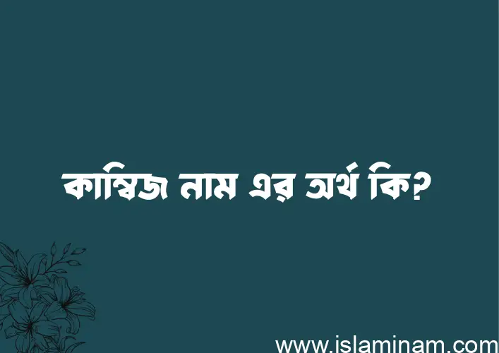 কাম্বিজ নামের অর্থ কি? কাম্বিজ নামের ইসলামিক অর্থ এবং বিস্তারিত তথ্য সমূহ