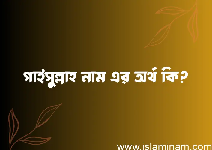 গাইসুল্লাহ নামের অর্থ কি? ইসলামিক আরবি বাংলা অর্থ এবং নামের তাৎপর্য