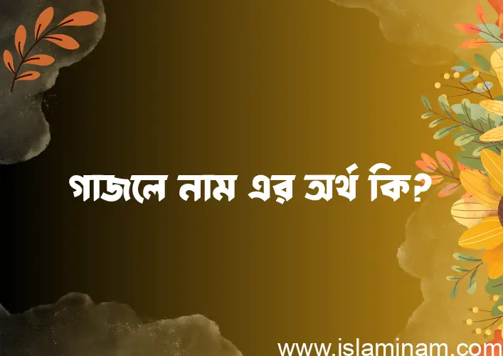 গাজলে নামের অর্থ কি? গাজলে নামের ইসলামিক অর্থ এবং বিস্তারিত তথ্য সমূহ