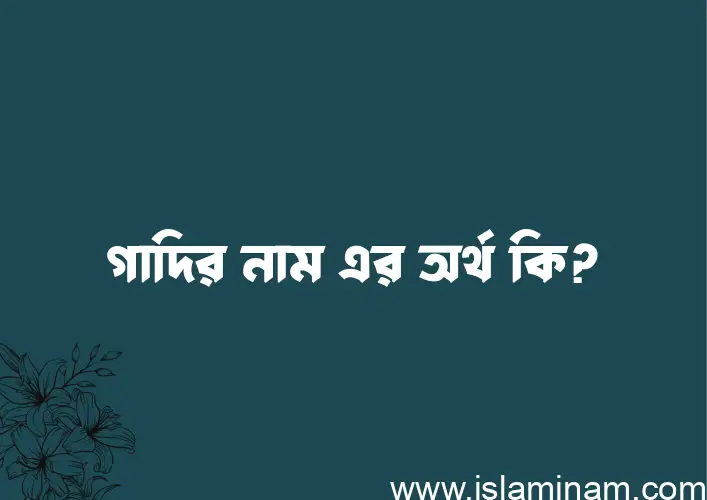 গাদির নামের আর্থ কি?