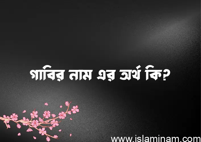 গাবির নামের অর্থ কি? গাবির নামের বাংলা, আরবি/ইসলামিক অর্থসমূহ