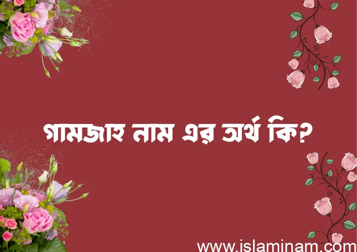 গামজাহ নামের অর্থ কি? ইসলামিক আরবি বাংলা অর্থ এবং নামের তাৎপর্য