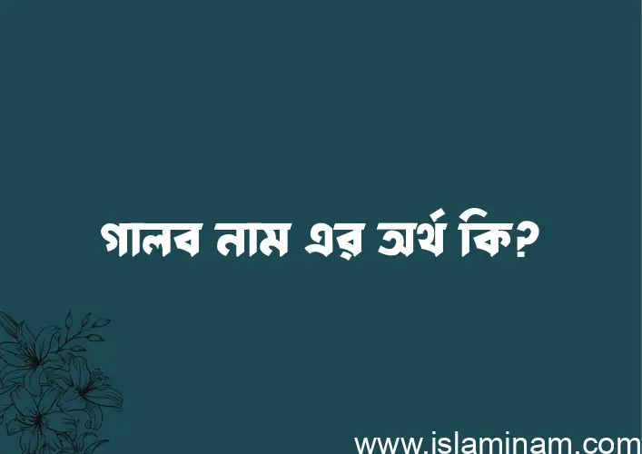 গালব নামের আর্থ কি?