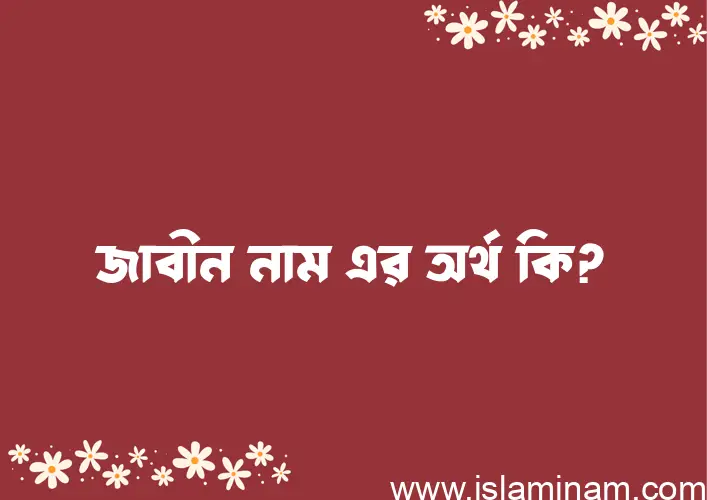 জাবীন নামের অর্থ কি? জাবীন নামের ইসলামিক অর্থ এবং বিস্তারিত তথ্য সমূহ