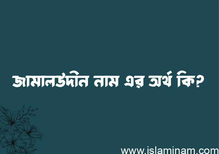 জামালউদীন নামের অর্থ কি, বাংলা ইসলামিক এবং আরবি অর্থ?