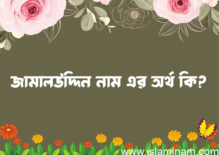 জামালউদ্দিন নামের অর্থ কি? জামালউদ্দিন নামের ইসলামিক অর্থ এবং বিস্তারিত তথ্য সমূহ