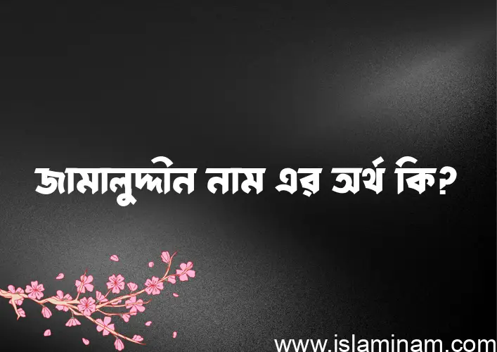 জামালুদ্দীন নামের অর্থ কি? ইসলামিক আরবি বাংলা অর্থ