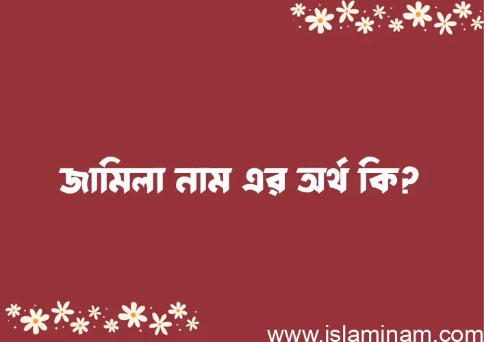 জামিলা নামের অর্থ কি? জামিলা নামের বাংলা, আরবি/ইসলামিক অর্থসমূহ