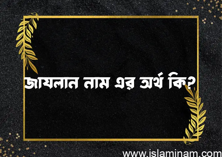 জাযলান নামের অর্থ কি? (ব্যাখ্যা ও বিশ্লেষণ) জানুন