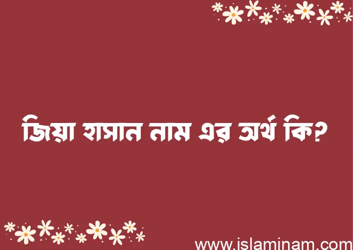 জিয়া হাসান নামের আর্থ কি?