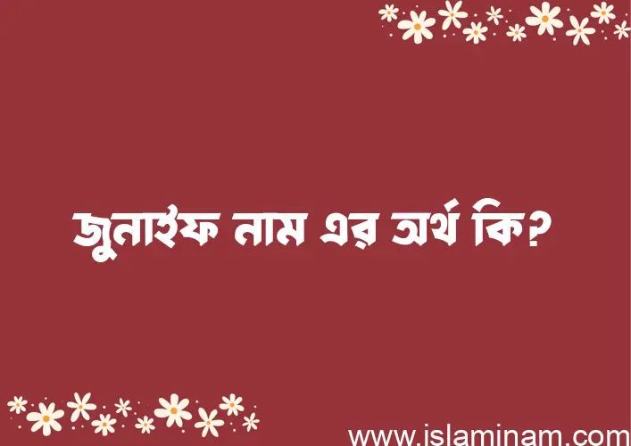 জুনাইফ নামের অর্থ কি? (ব্যাখ্যা ও বিশ্লেষণ) জানুন