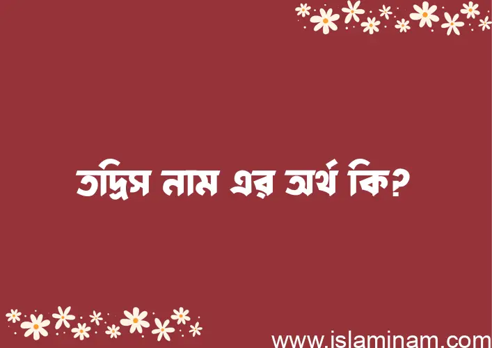 তদ্রিস নামের অর্থ কি? তদ্রিস নামের বাংলা, আরবি/ইসলামিক অর্থসমূহ