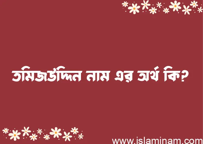 তমিজউদ্দিন নামের অর্থ কি? ইসলামিক আরবি বাংলা অর্থ এবং নামের তাৎপর্য