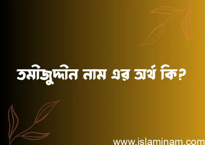 তমীজুদ্দীন নামের অর্থ কি? (ব্যাখ্যা ও বিশ্লেষণ) জানুন