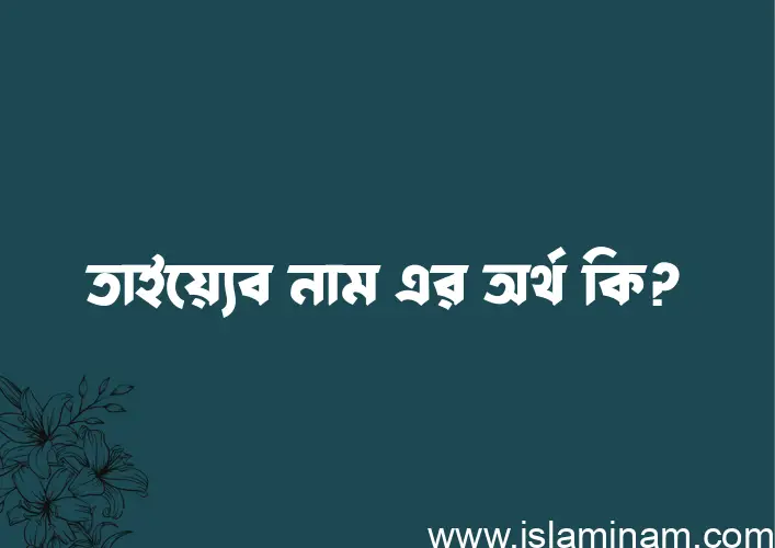 তাইয়্যেব নামের অর্থ কি? ইসলামিক আরবি বাংলা অর্থ