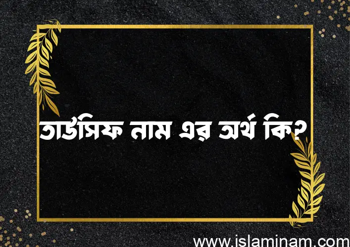 তাউসিফ নামের অর্থ কি? (ব্যাখ্যা ও বিশ্লেষণ) জানুন