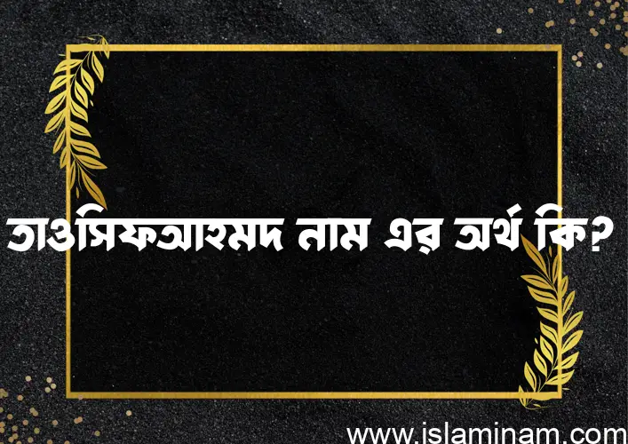 তাওসিফআহমদ নামের অর্থ কি? ইসলামিক আরবি বাংলা অর্থ এবং নামের তাৎপর্য