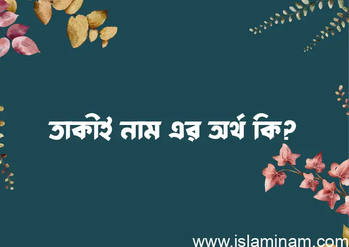 তাকীই নামের অর্থ কি? (ব্যাখ্যা ও বিশ্লেষণ) জানুন