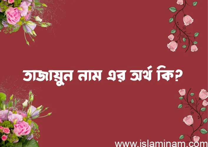 তাজায়ুন নামের অর্থ কি? (ব্যাখ্যা ও বিশ্লেষণ) জানুন