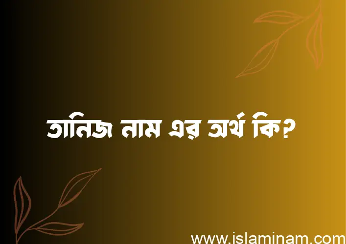 তানিজ নামের অর্থ কি? ইসলামিক আরবি বাংলা অর্থ এবং নামের তাৎপর্য