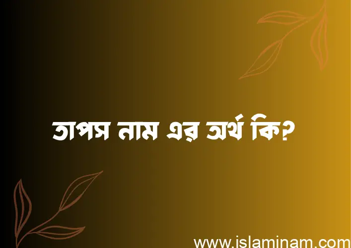 তাপস নামের আর্থ কি?