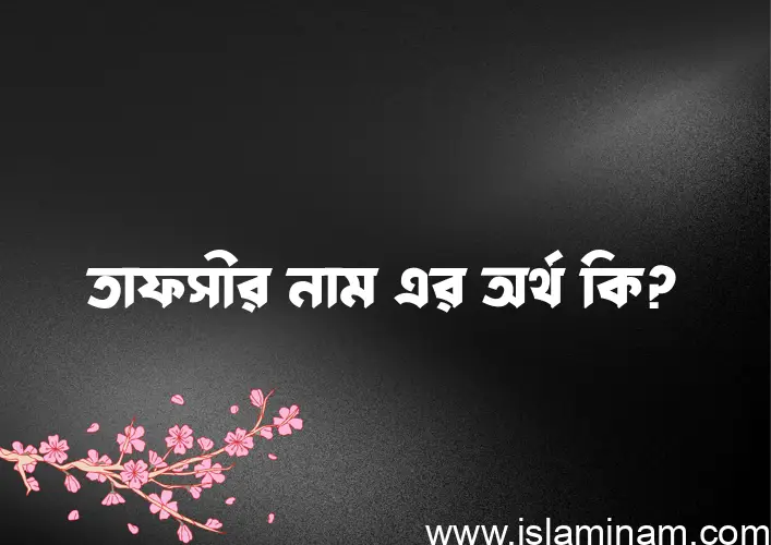 তাফসীর নামের অর্থ কি? তাফসীর নামের ইসলামিক অর্থ এবং বিস্তারিত তথ্য সমূহ