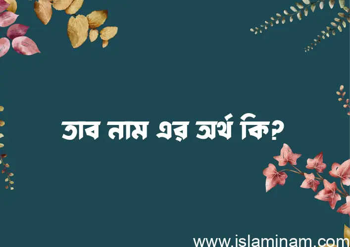 তাব নামের আর্থ কি?