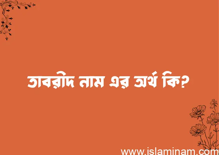 তাবরীদ নামের অর্থ কি? তাবরীদ নামের বাংলা, আরবি/ইসলামিক অর্থসমূহ